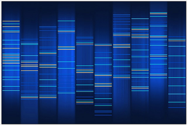 Il Dna come memoria digitale