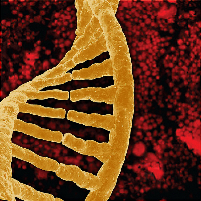 Terapia genica, il primo farmaco approvato dall’Ema
