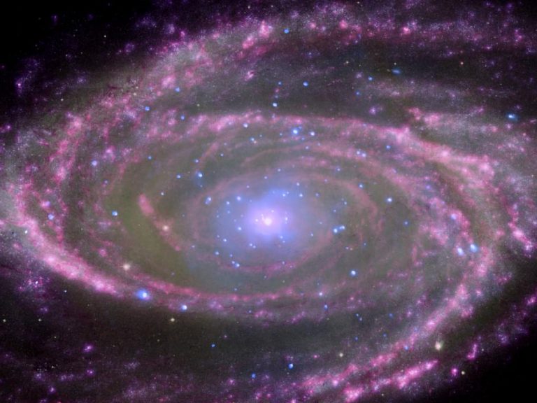 Dieci anni di buchi neri supermassivi