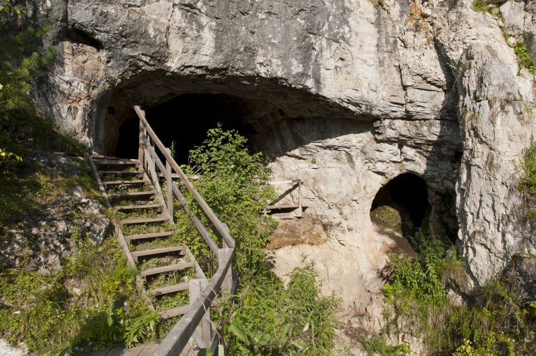 Tutto sui Denisovan, cugini dei Sapiens