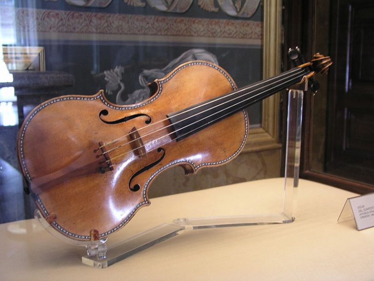 Come fare di un violino uno Stradivari, grazie ai funghi