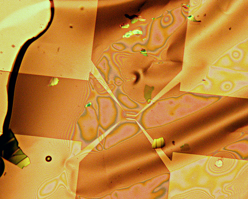 La ricetta del millefoglie atomico