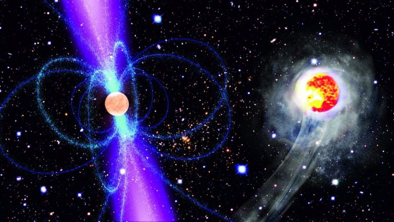 Ecco la stella dei record