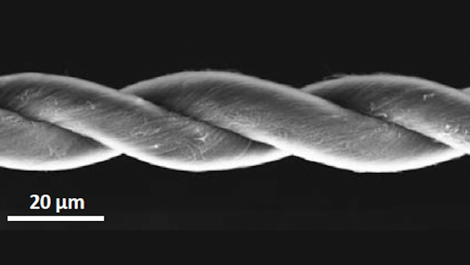 Ecco il muscolo da laboratorio