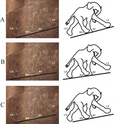 Quanto erano bravi i pittori delle caverne