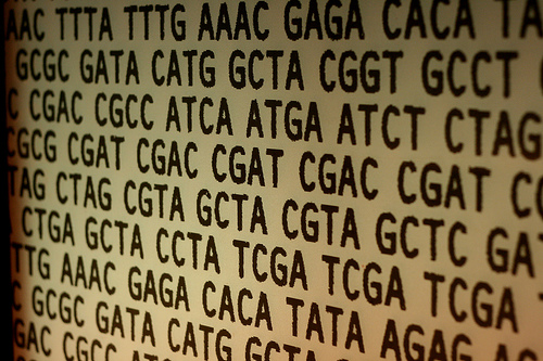 Studi genetici: la privacy è a rischio