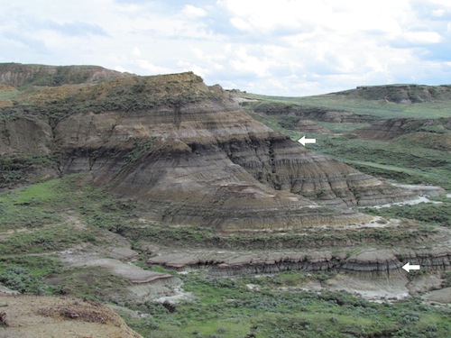 I dinosauri e l’asteroide, una strana coincidenza
