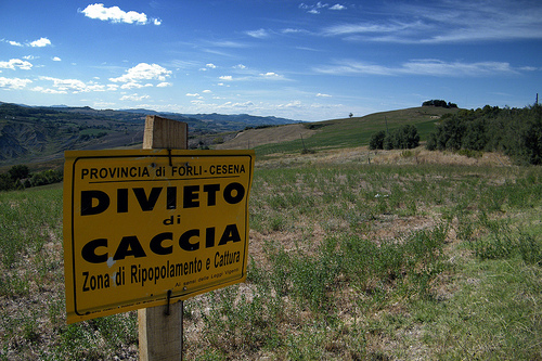 Il costo in vite umane della stagione venatoria