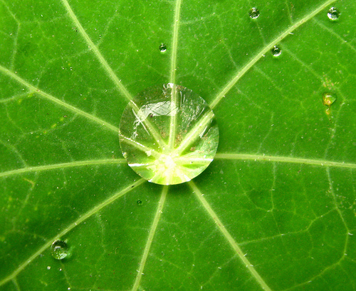 Protocollo di Kyoto, l’Italia raggiunge gli obiettivi