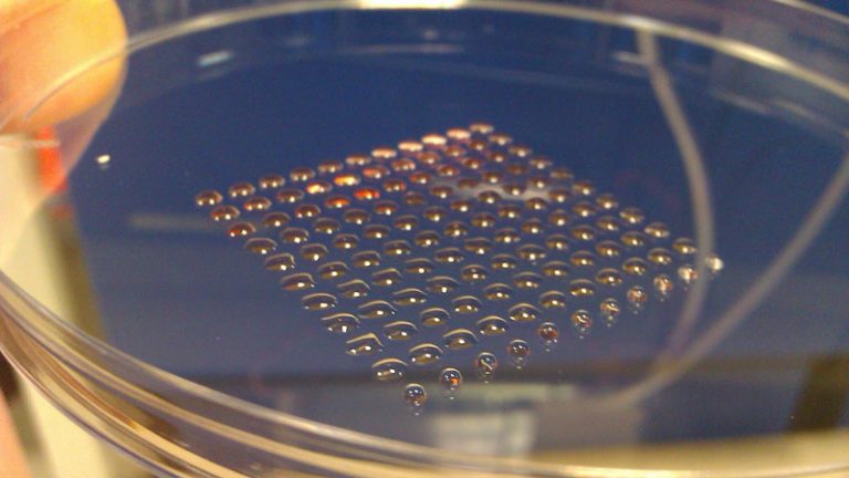 Gli organi si stamperanno in 3D