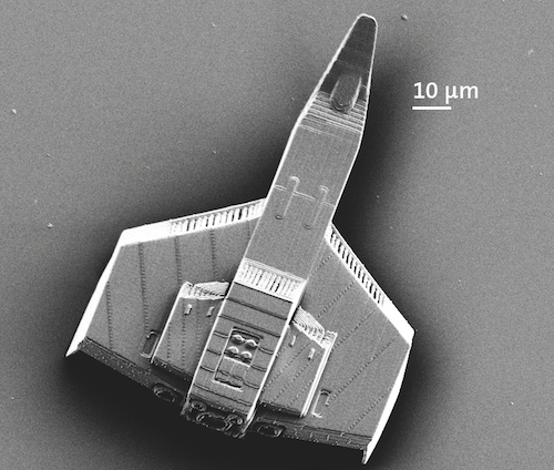 La stampante 3D più veloce al mondo