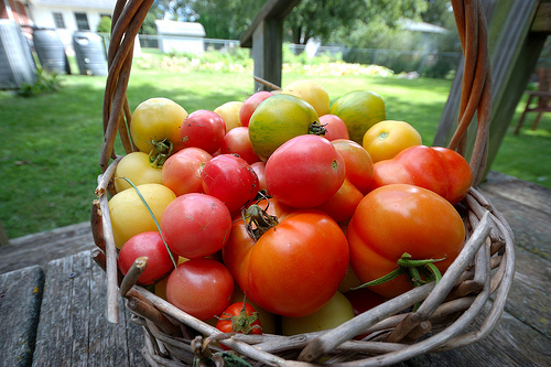 L’Europa semplifica l’agricoltura biologica
