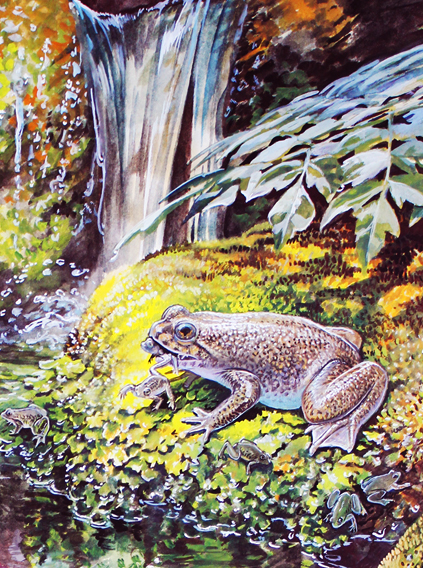 Come resuscitare le rane estinte