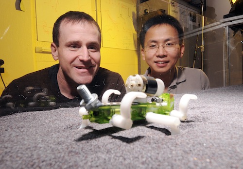 Il robot fuoristrada è a forma di lucertola