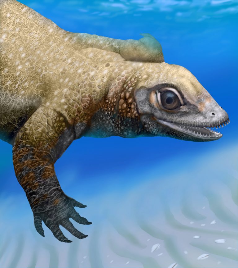 Placodonti, i dinosauri europei con i denti a incastro