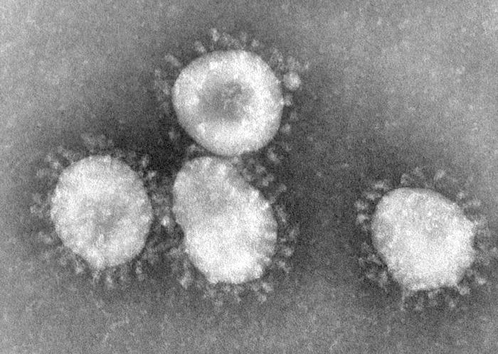 Oms: attenzione al nuovo coronavirus