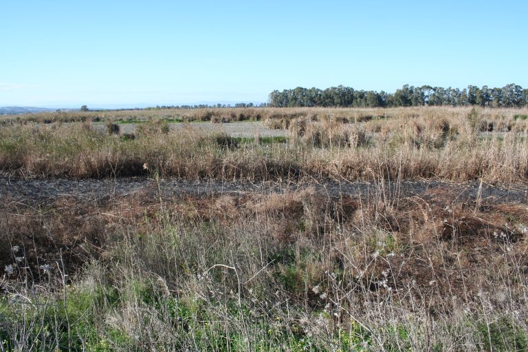 Biodiversità, un appello per salvare i siti italiani