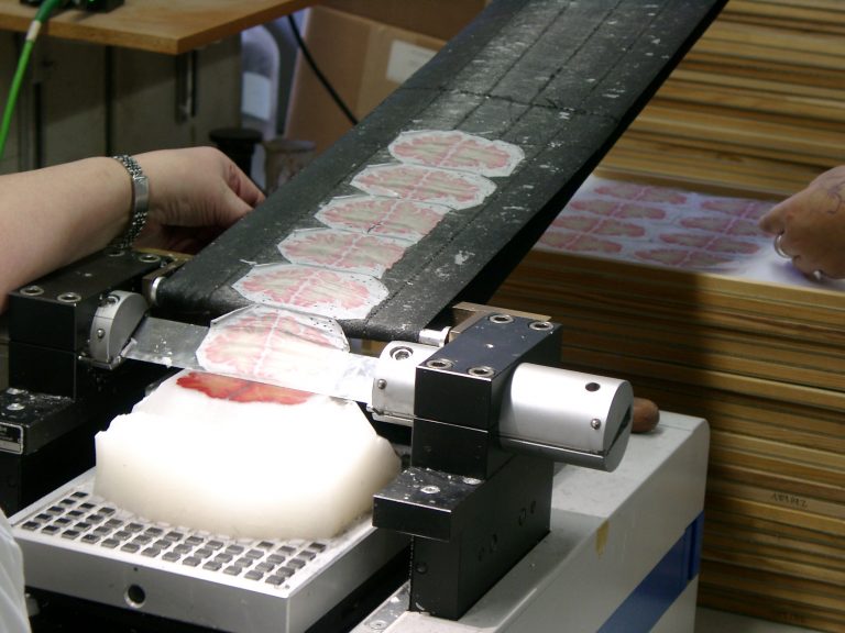 Il cervello in alta risoluzione e in 3D