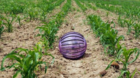 Rosphere, il robot è una palla