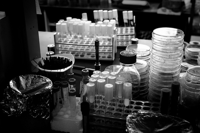 Stamina: perché la Sma è stata esclusa dai protocolli?
