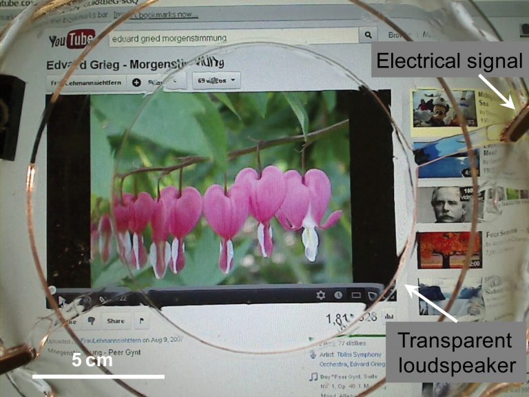 L’amplificatore è trasparente