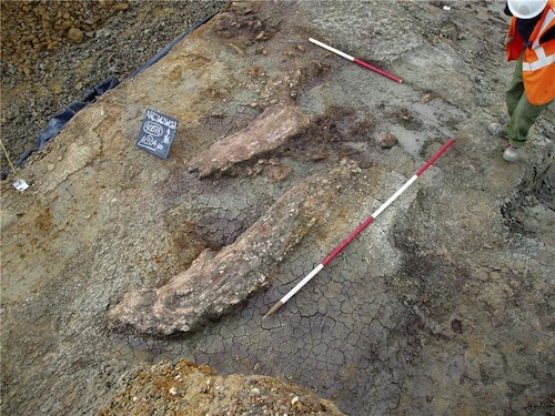 Caccia, una pratica vecchia di oltre 400.000 anni