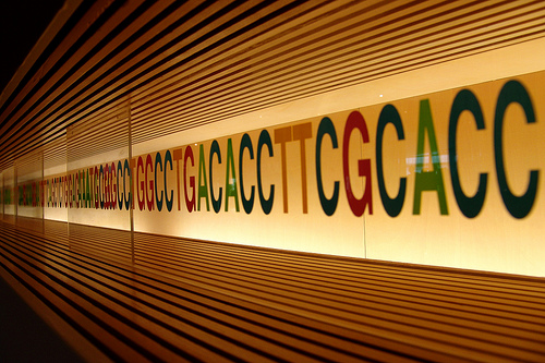 I virus che condividiamo con i Neanderthal