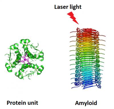 Un laser contro Parkinson e Alzheimer