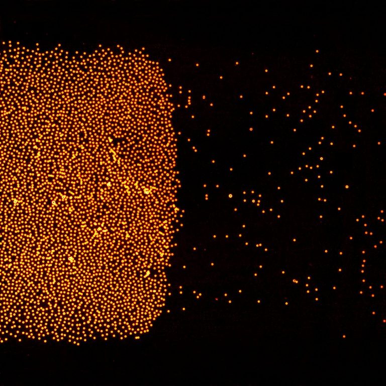 Stormi di microparticelle