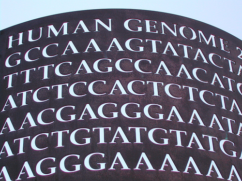 A cosa servono (ancora) i test genetici?