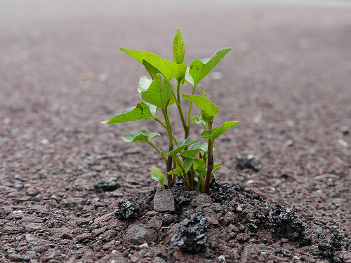 Basta cemento, meglio riqualificare