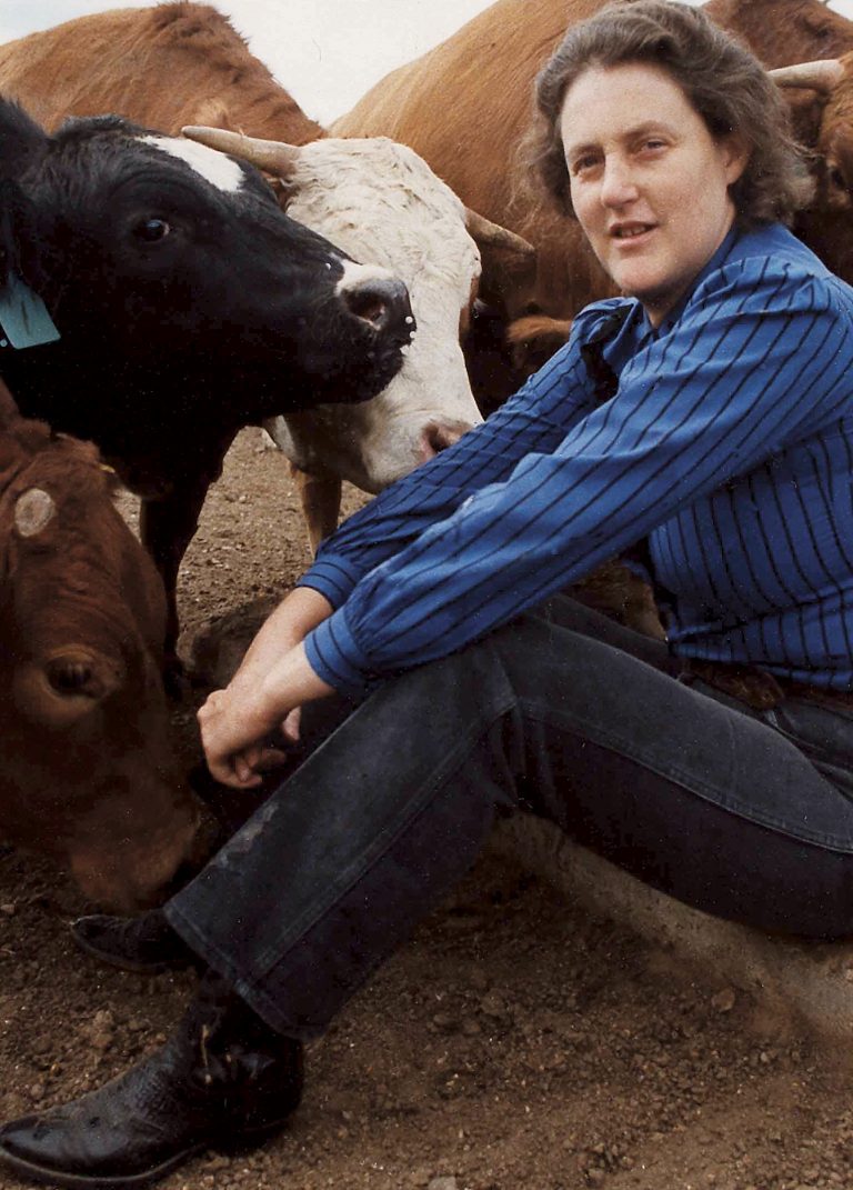 Temple Grandin, storia di un’autistica che amava le mucche