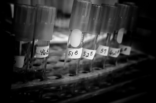 Stamina, stop ai test a Miami