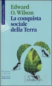 La strategia della formica