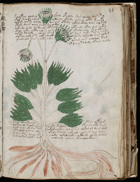 Cosa c’è scritto nel manoscritto Voynich