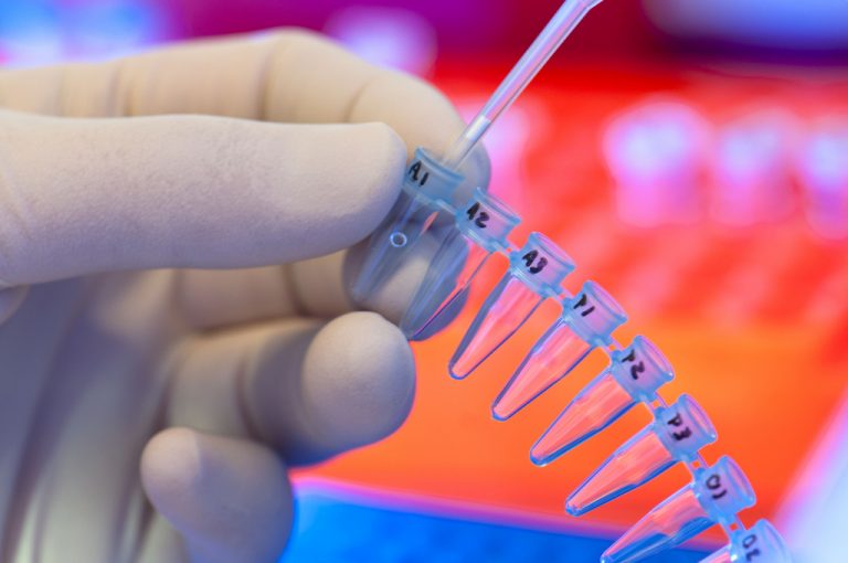 Un nuovo modo per produrre cellule staminali embrionali