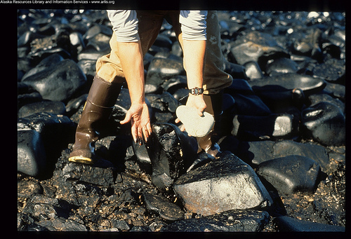 Exxon Valdez, 25 anni dopo il disastro