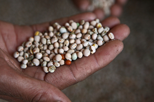 Protocollo di Milano, l’accordo per nutrire il pianeta e i suoi abitanti