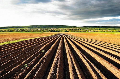 Così l’agricoltura diventa più sostenibile