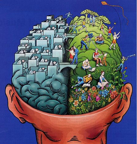 Cinque miti da sfatare sul cervello