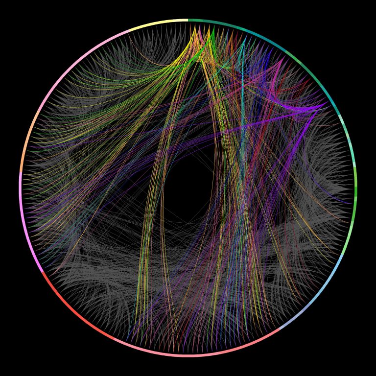 Ecco le mappe del cervello