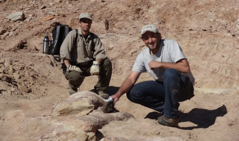 Il più grande dinosauro della storia