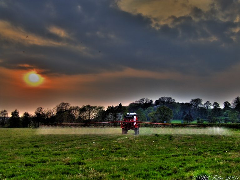 Quale legame tra pesticidi e autismo?
