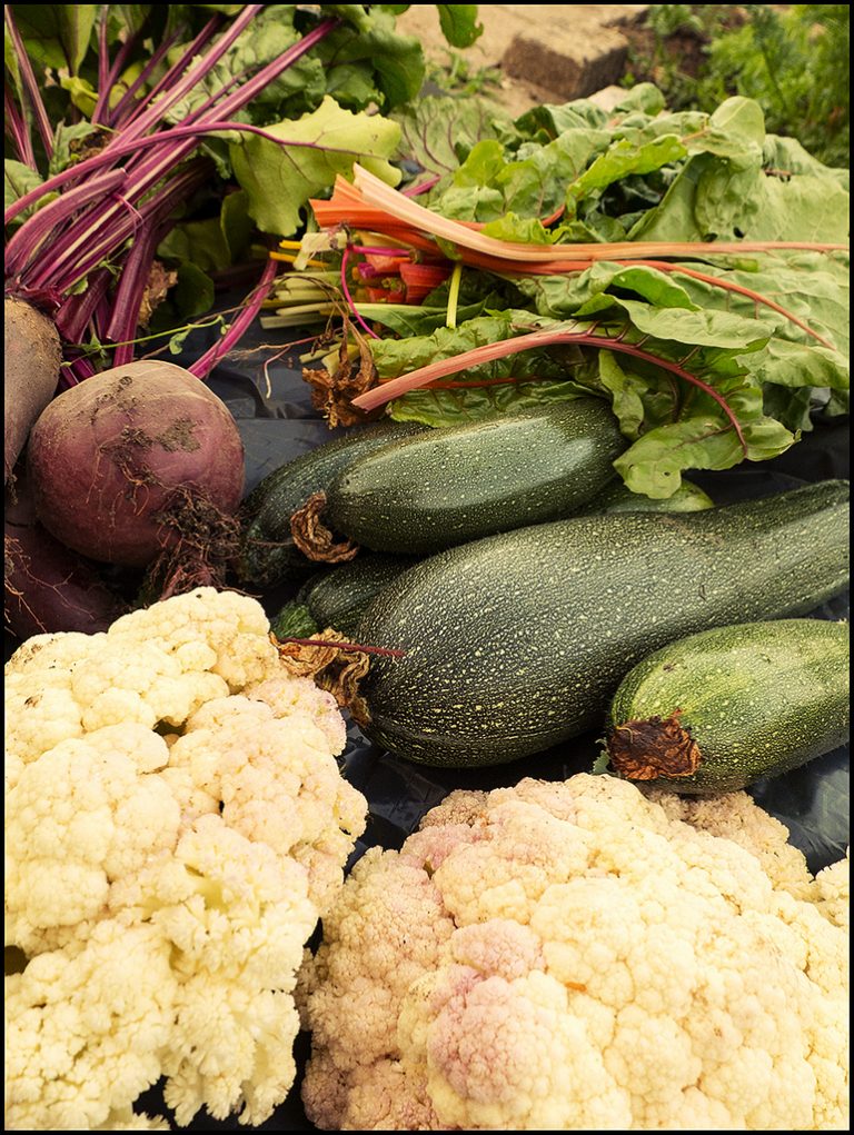 Cibo bio, davvero è migliore di quello tradizionale?