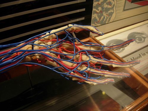 Vasi sanguigni stampati in 3D