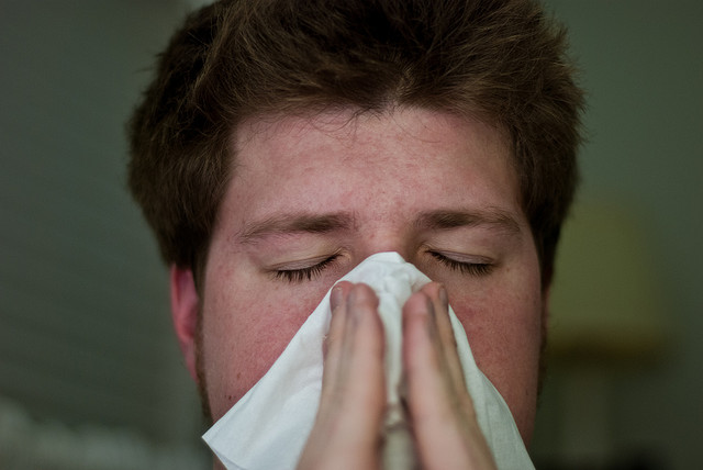 Vademecum per l’influenza che verrà