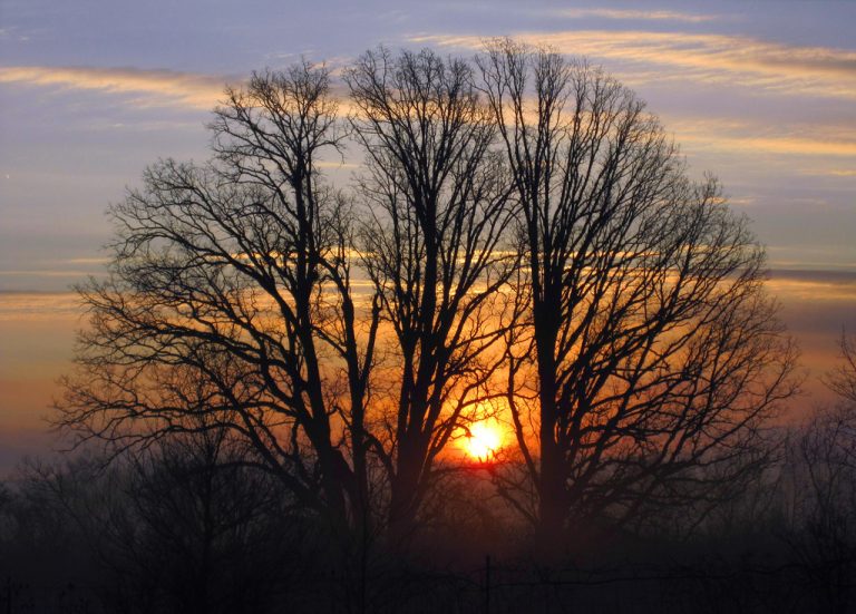Torna l’autunno, cosa succede alla Terra