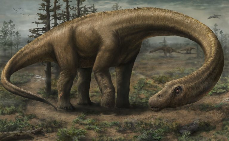 Ecco il più grande dinosauro mai scoperto