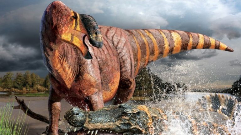 Rhinorex, il Cyrano dei dinosauri