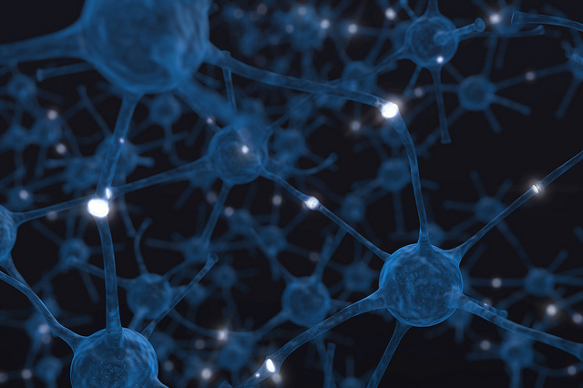 Alzheimer, il modello 3D per studiare la malattia
